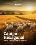 Campo Hexagonal